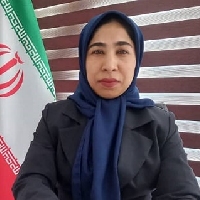 راضیه حسین آبادی